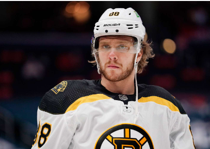 Top Boston Bruins Right Wing Player Retires from club